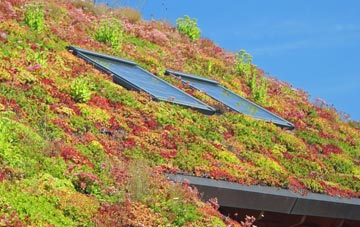 Lydiard Millicent living roof systems
