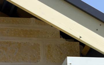 soffit repair Lydiard Millicent