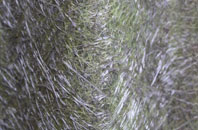 Lydiard Millicent fibreglass roof work